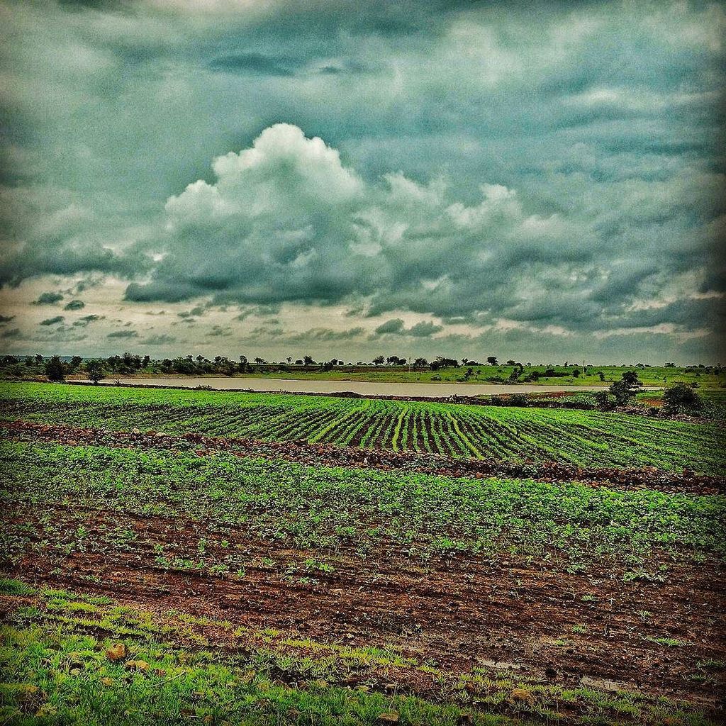 OneThirdsClick's tweet image. #greenery #greenfield #captureperfect ift.tt/2uF9Tbd