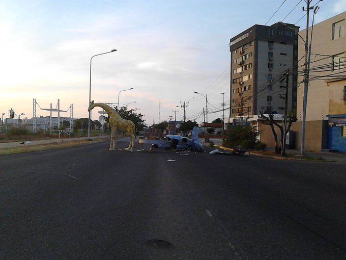 View image on Twitter