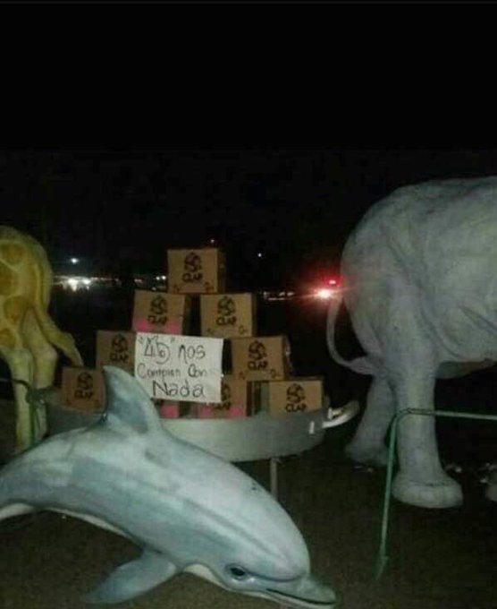 View image on Twitter View image on Twitter