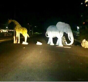 View image on Twitter View image on Twitter