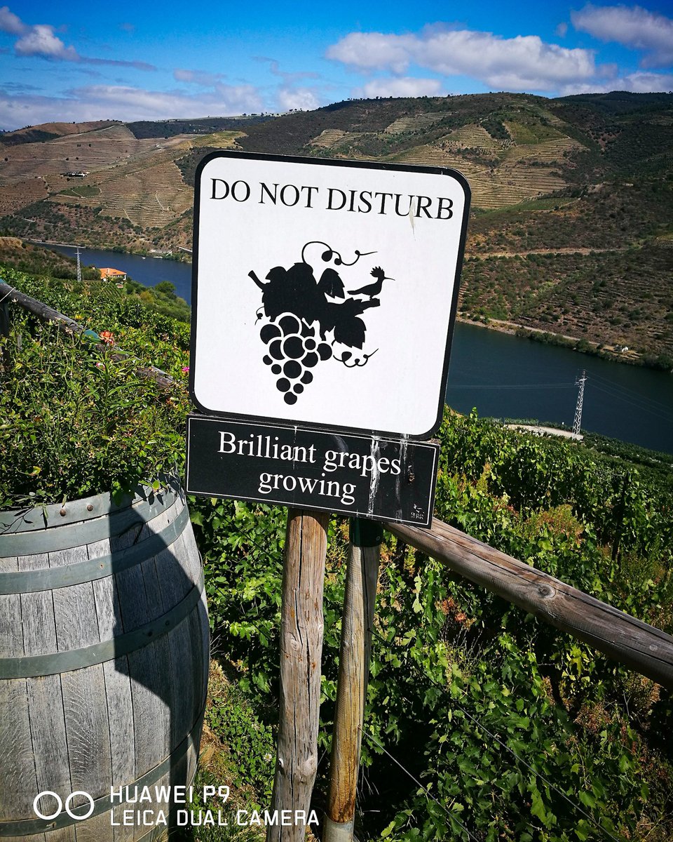 WineBlogRoll's tweet photo. Silence please... 😜🍇☀️ https://t.co/Ylchh1Cse8