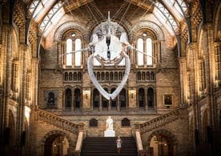 Gather_World's tweet photo. Spending the weekend in London? Here's what you can do 😁 🇬🇧 #gather #London #travel #wanderlust #city #inspiration

https://t.co/El82u7FUfN https://t.co/CdsTifXtU0