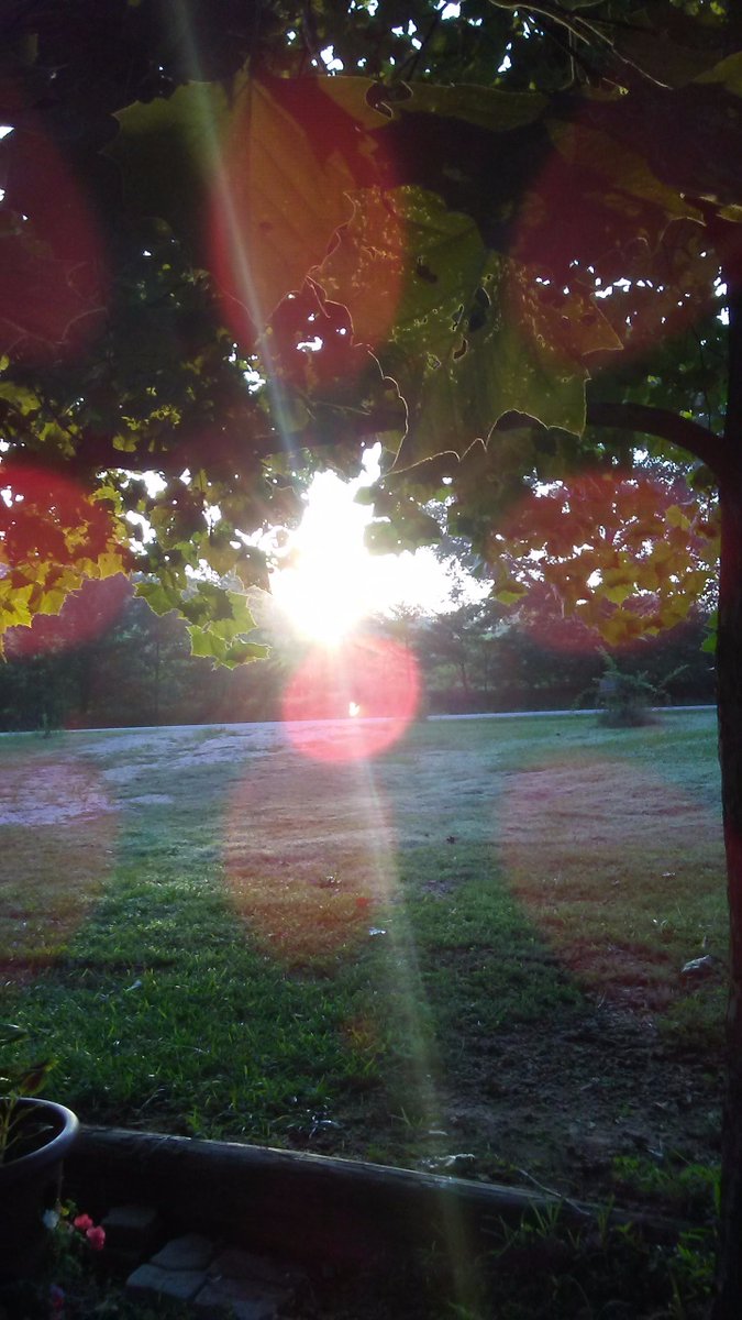 GameSlayer8's tweet image. Had a fun trip home