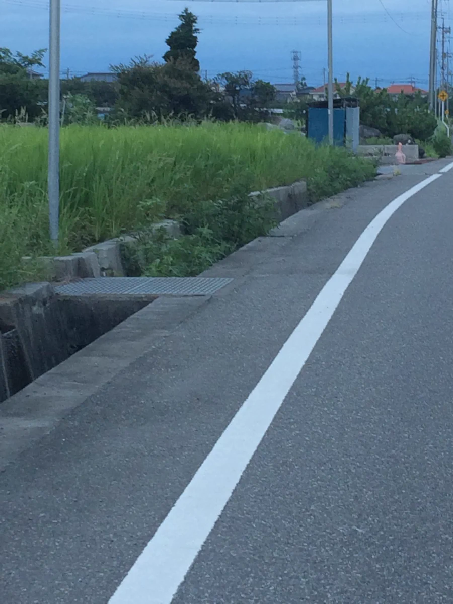 本当にそう見えるww田んぼにフラミンゴ立ってると思ったら石炭だったww