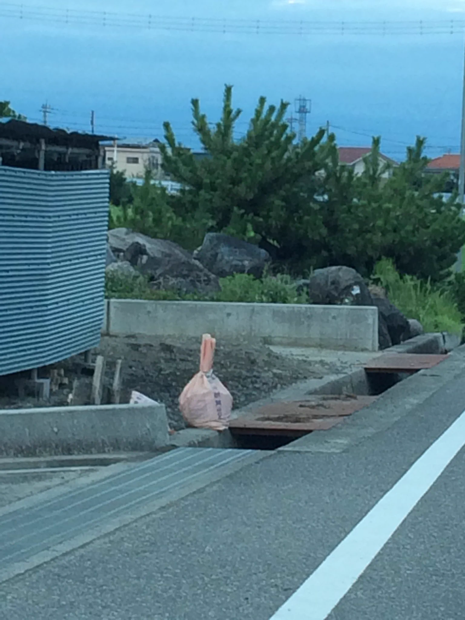 本当にそう見えるww田んぼにフラミンゴ立ってると思ったら石炭だったww