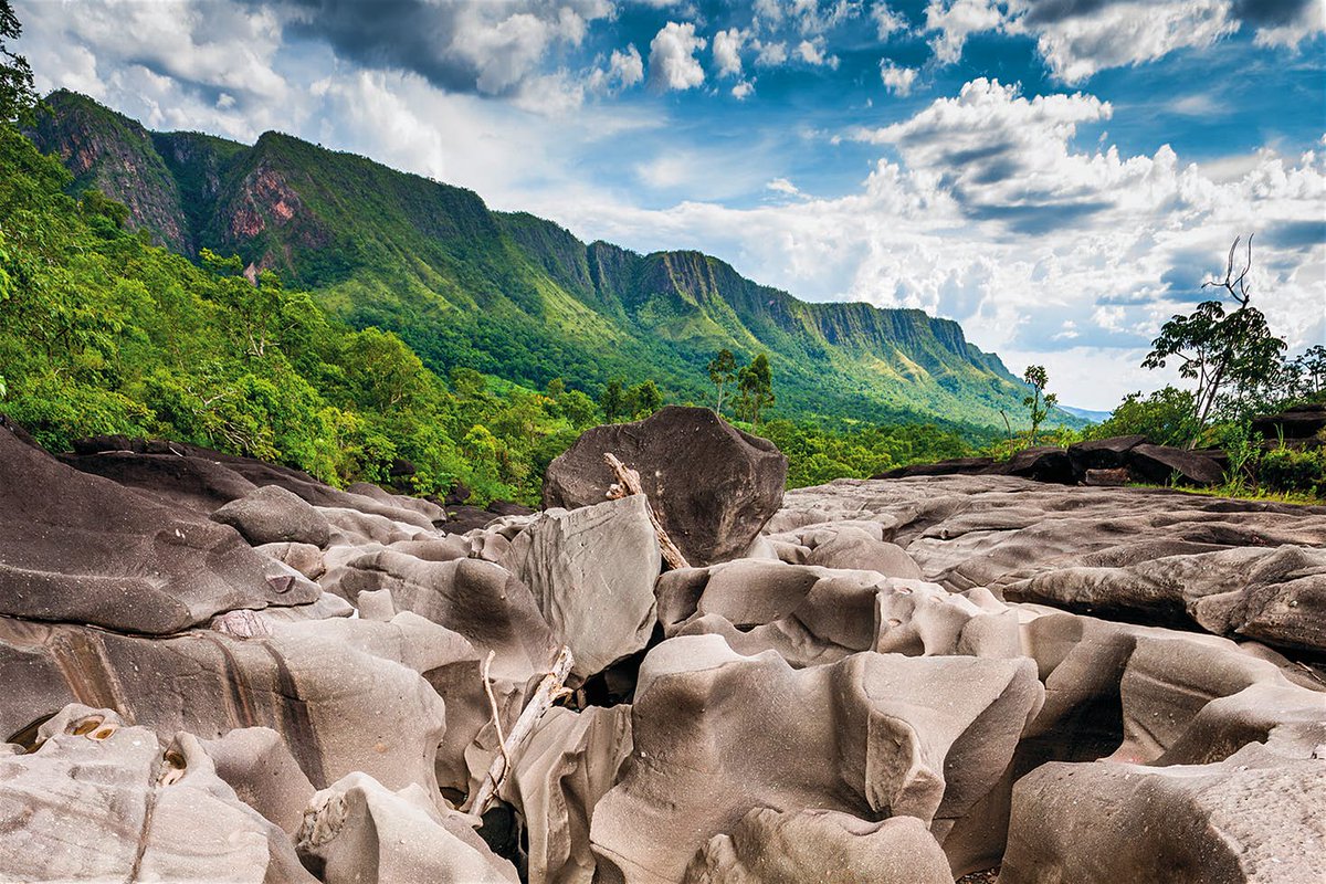 lonelyplanet's tweet photo. Painted forests, pink lakes, and other secret marvels of the world... https://t.co/FcPVFXvBeK #travel https://t.co/eXtsiAY31j