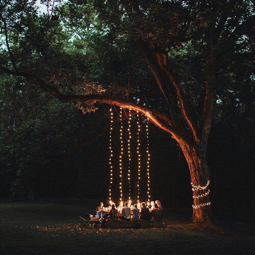 VarunThreads's tweet photo. Type "@C" and the first 5 users to come up are going to join @Varun_dvn  at this picnic. 🌌🔥 https://t.co/kw1202kV1D