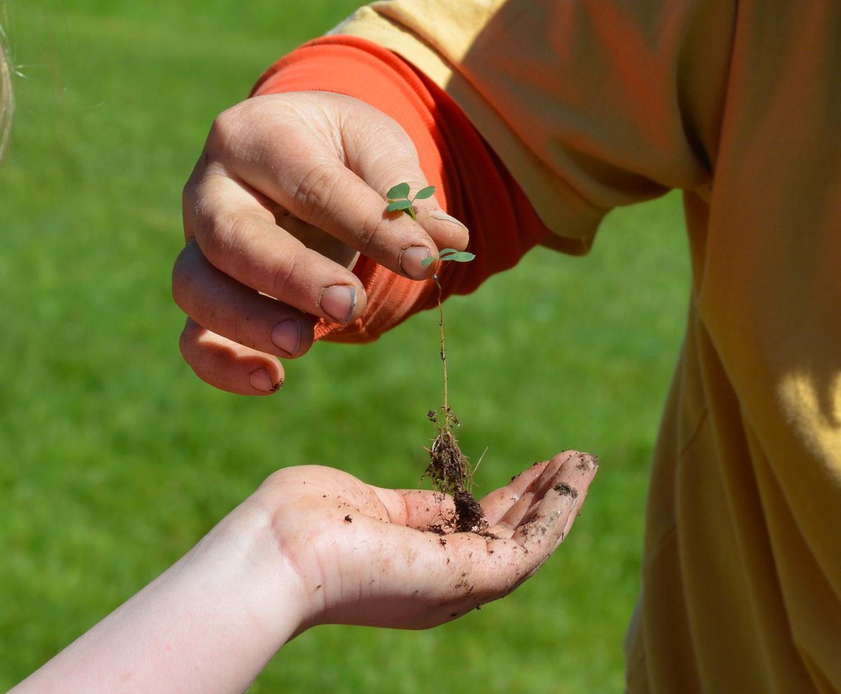 Building Compost, Regenerating Soil and Cooling the Planet: Four Upcoming Upper Valley Workshops