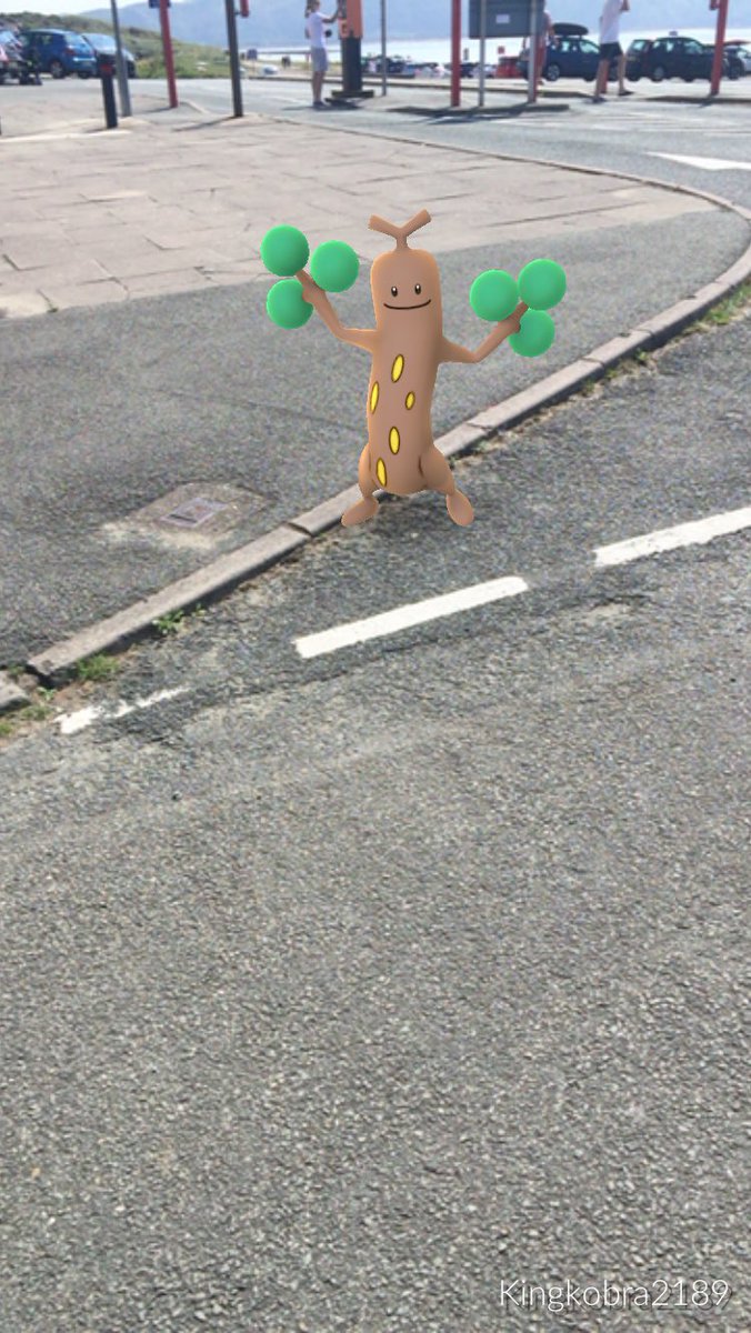 Pokemonhunter83's tweet photo. @MYSTIC7  https://t.co/iAp3QnVxPv