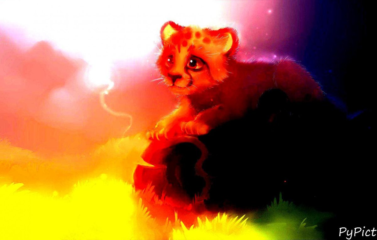 PyPict's tweet image. #pypict #cats