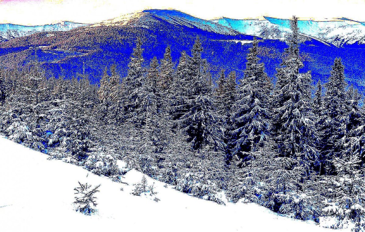 PyPict's tweet image. #mount #forest #pypict