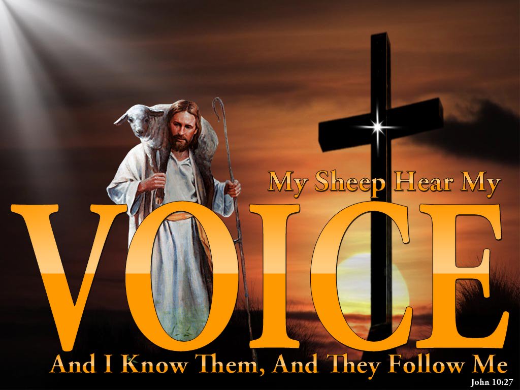 1207go's tweet photo. But blessed are your eyes, for they see, and your ears, for they hear. Mat13:16 #Jesus #Christian #ThursdayThoughts #ThursdayMotivation https://t.co/GLYhY8RGRL