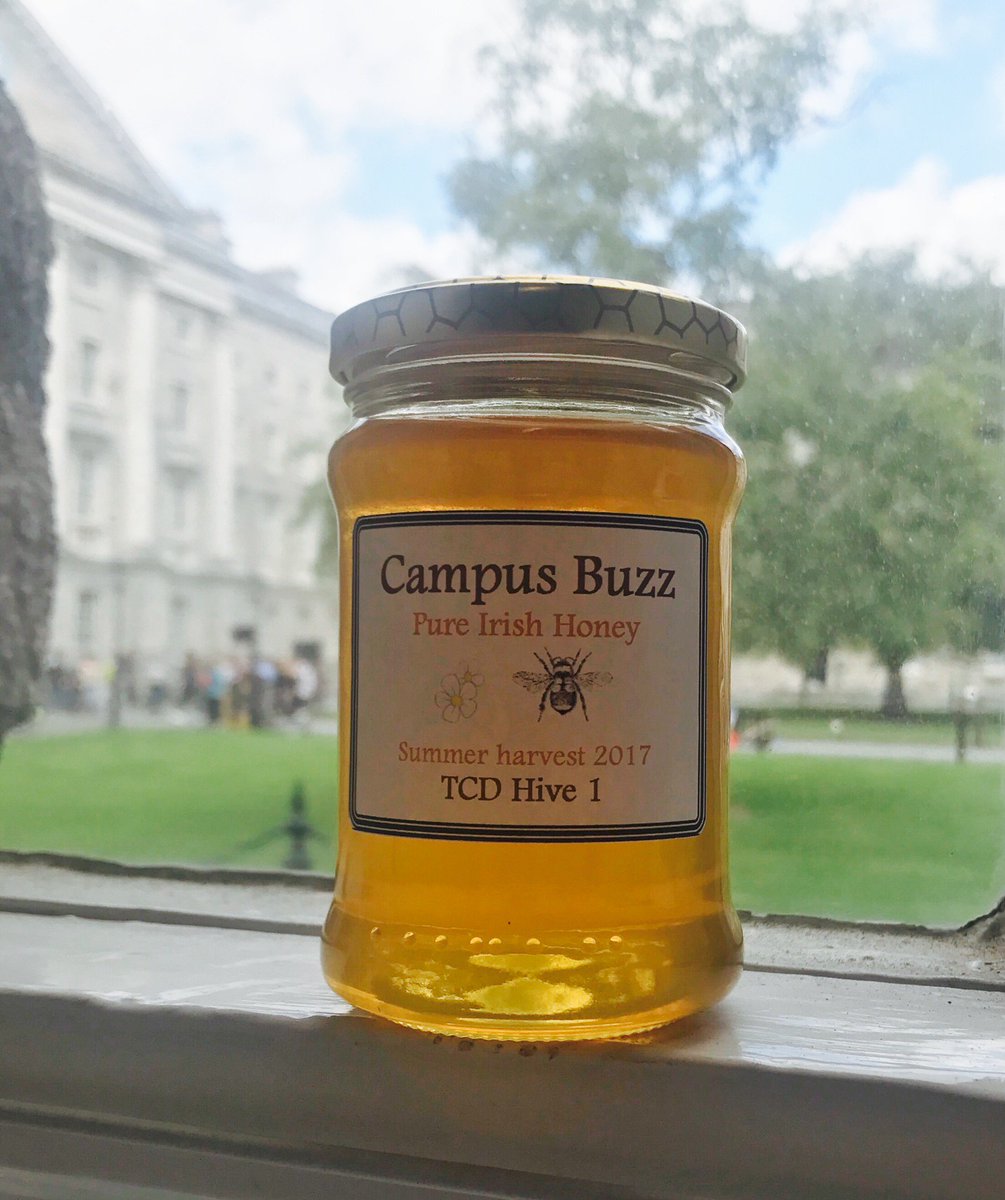 pjprendergast's tweet photo. Delighted to have my first jar of honey from TCD Hive 1!
#irishpollinatorplan https://t.co/7tR0X7F1ei