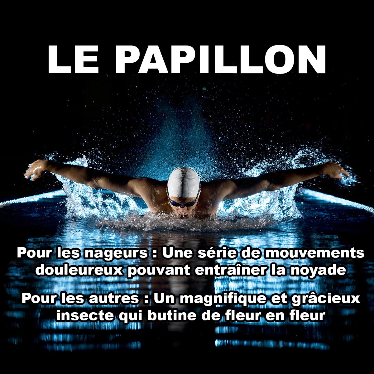 CoachNage's tweet photo. On a pas tous la même notion du mot "#Papillon" 😂 🤣
#humourdujeudi #humourdenageur #humour #swimhumor #natation #butterfly #swimming #swim https://t.co/qqm6ZTbchj