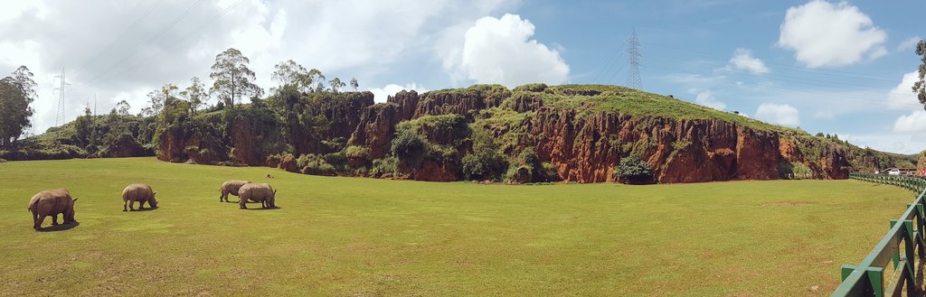 manuginobili's tweet photo. Si están en el norte de España, visiten el Parque de Cabárceno. Quedamos encantados!! Una belleza. https://t.co/UQXVLlOr6A