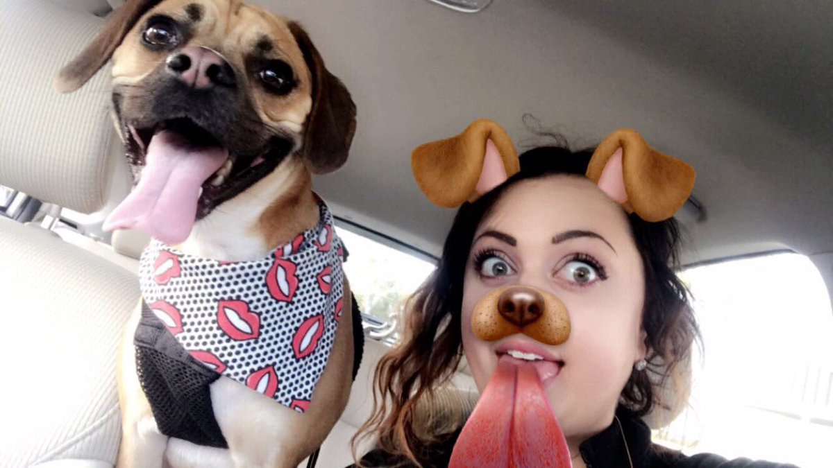 helloalyssac's tweet photo. Today is "Carter fun day" a whole day dedicated to doing Puggle things https://t.co/fR4koDzYqs