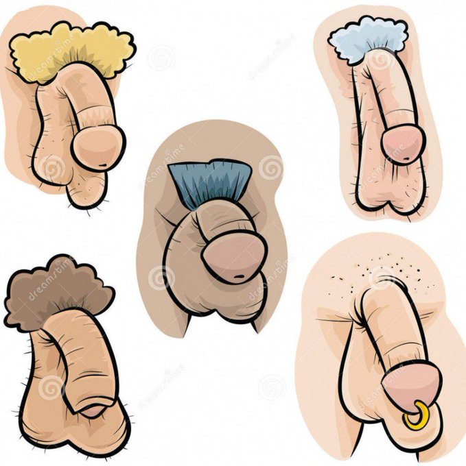 Haarige Penis Cartoon Partnertausch