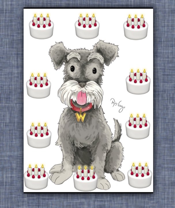 educateologist's tweet photo. I'm going to drive everyone mad today with my Woofy tweets but Woofy is 1 today #perthauthor #perthistheplace #books #kids #dogs #talesilove https://t.co/IxnfcVAbEJ