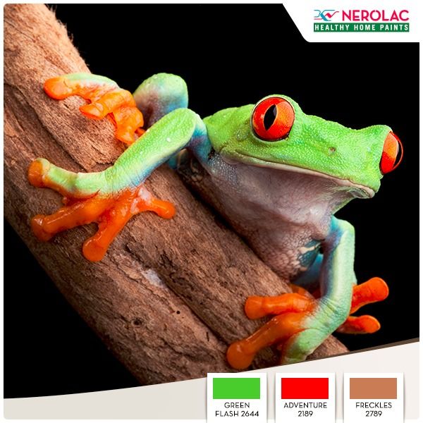 Nerolac_Paints's tweet photo. Look up to nature for #Colourspiration, and you shall always be inspired! What comes to your mind when you see this beautiful shot? https://t.co/1cobK2l3qq