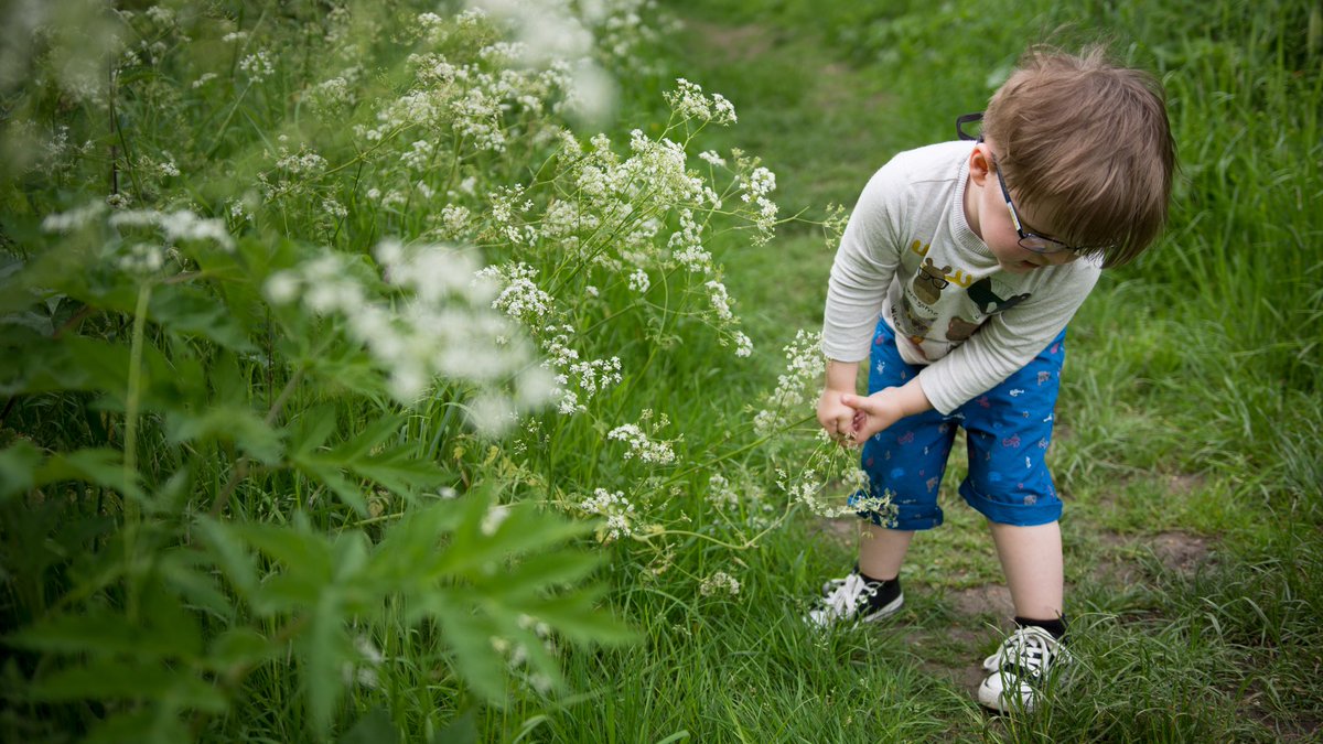 ecainphotos's tweet image. Picking some flowers for mummy. 
. 
. 
. 
#bramcain 
#Leedsphotographer 
#eddiecainphotography 
#Yorkshire 
#summerwalks
#FatherAndSon