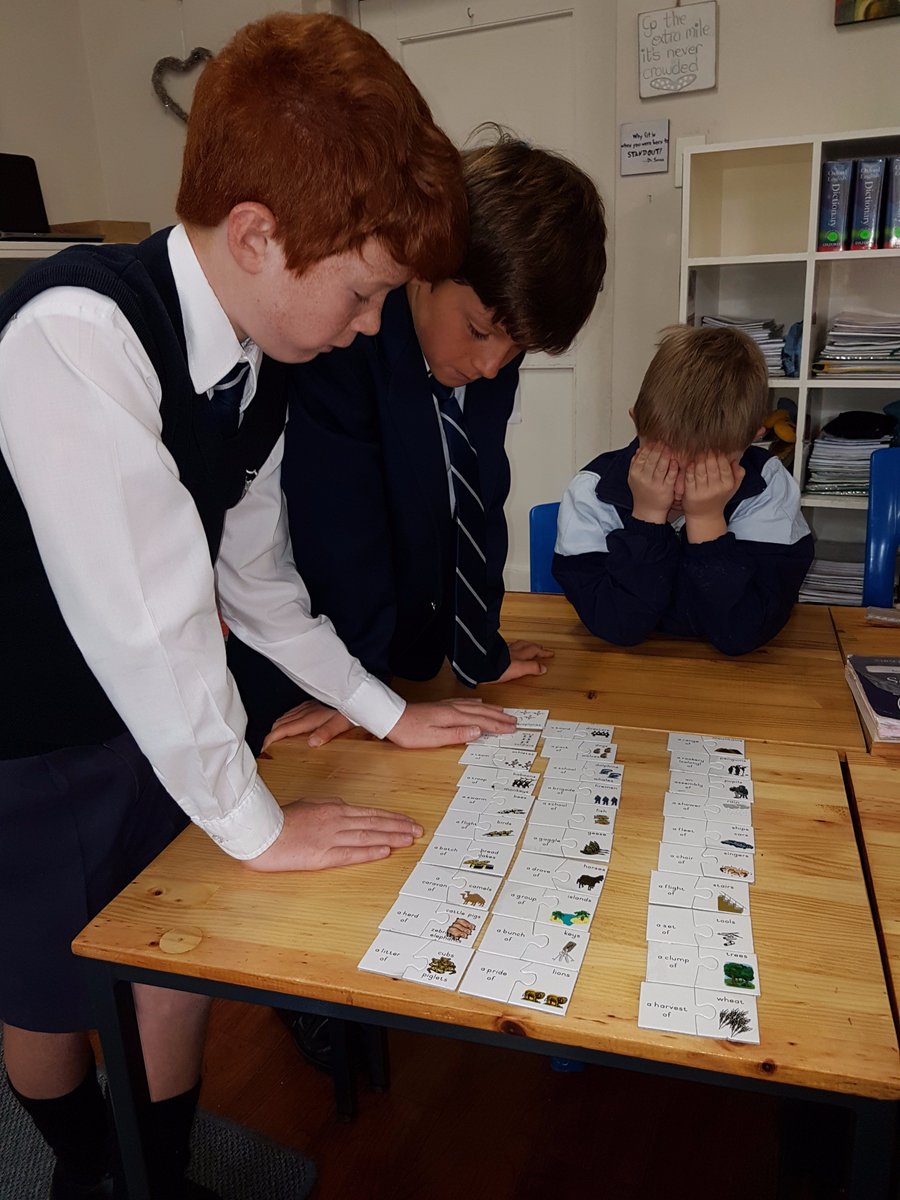 WPPSLive's tweet photo. The Grade 4W class having fun with collective nouns in English today. https://t.co/tSAVscQdQu