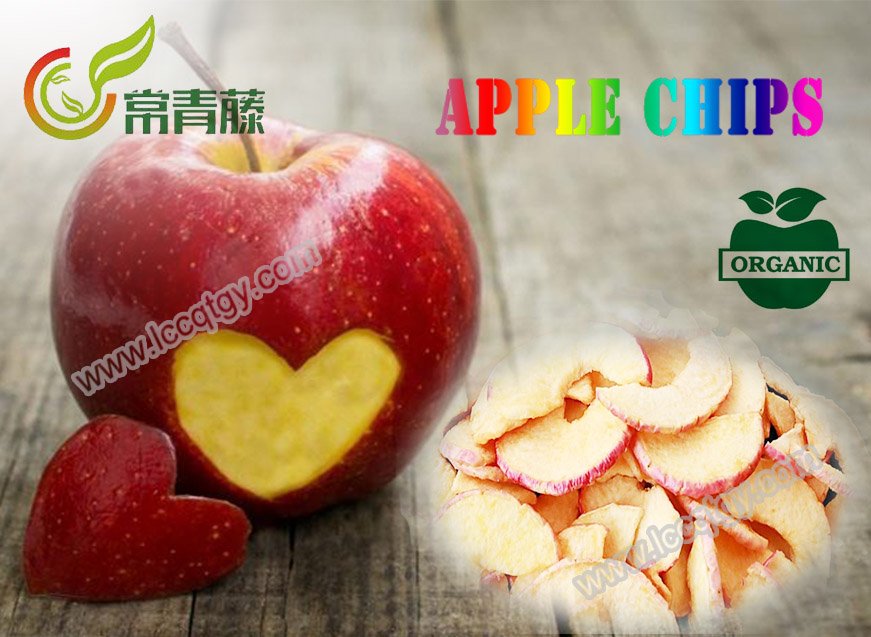 Ivy_cqt's tweet photo. Best snack - Apple chips
https://t.co/4w4FxXUJU4        
#Apple #Applechips #Chips #Potatochips #Sweet #Delicious #Fruits #luochuan #snack https://t.co/aLzPZbdlRH