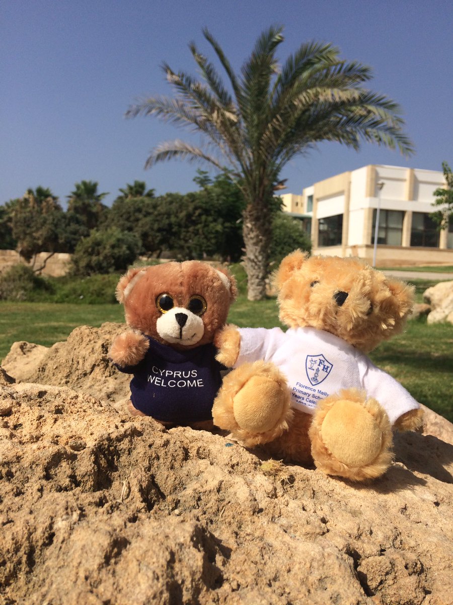 AvaBenChloe's tweet photo. @Y5FlorenceMelly @EYFSFloMelly @Y1FlorenceMelly looks like our #FloMellyBear has made a friend in Cyprus 😍 https://t.co/ipZPKlKlb4