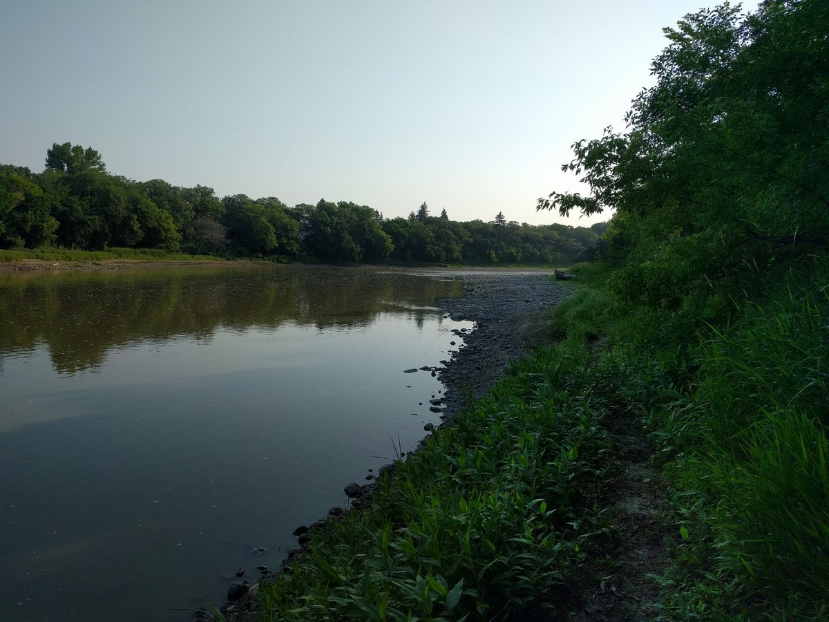 MusqudoboitMike's tweet photo. Running along Assiniboine River this morning. @WinnipegTrails @assiniboinepark #seerdadrun #runchat #seerdadrun #vacation https://t.co/EtgWmFms0X
