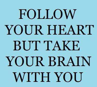 Follow your Heart but take your Brain with you. Follow your Heart. Wise quotes. Wisdom quotes. Take your card with you. Follow your Heart but take your Brain with you. Follow your Heart. Wise quotes. Wisdom quotes.