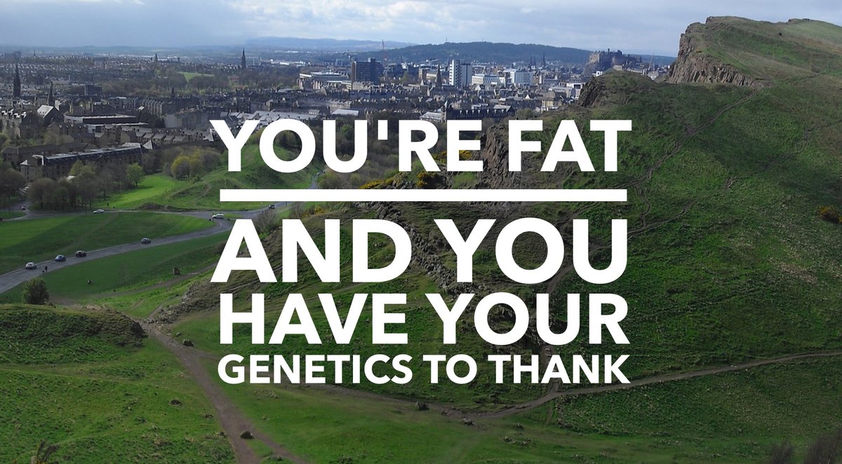 MichaelUlloaPT's tweet photo. You're fat and you have your genetics to thank! 
Have a read of my latest blog post 🤓

https://t.co/OPIPMpybCX… https://t.co/OW2srNQwR3
