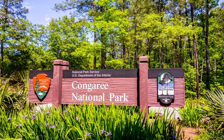 rosewdc's tweet photo. #LABORDAY - The Incredible US National Park You've Never Heard Of! Hopkins, South Carolina!

#TRAVEL #AUTUMN #HIKING
https://t.co/FRJPVQNymK https://t.co/4MAxGDDETy