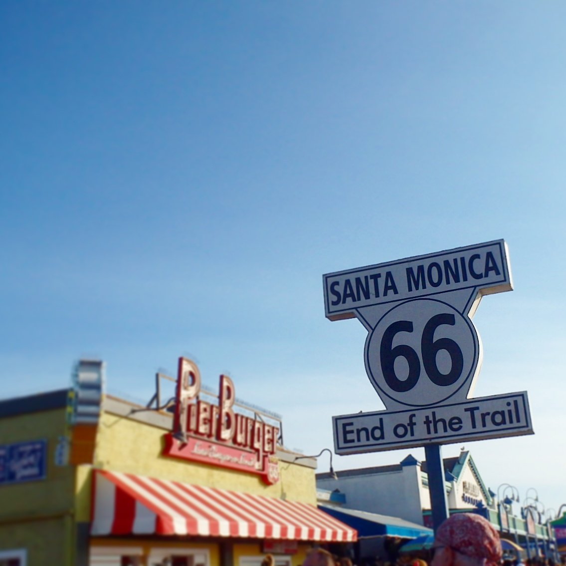 ______wfl's tweet image. 