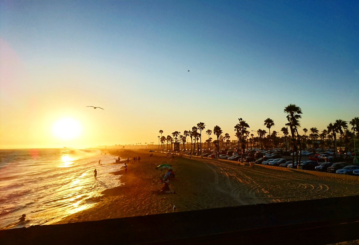 ______wfl's tweet image. 