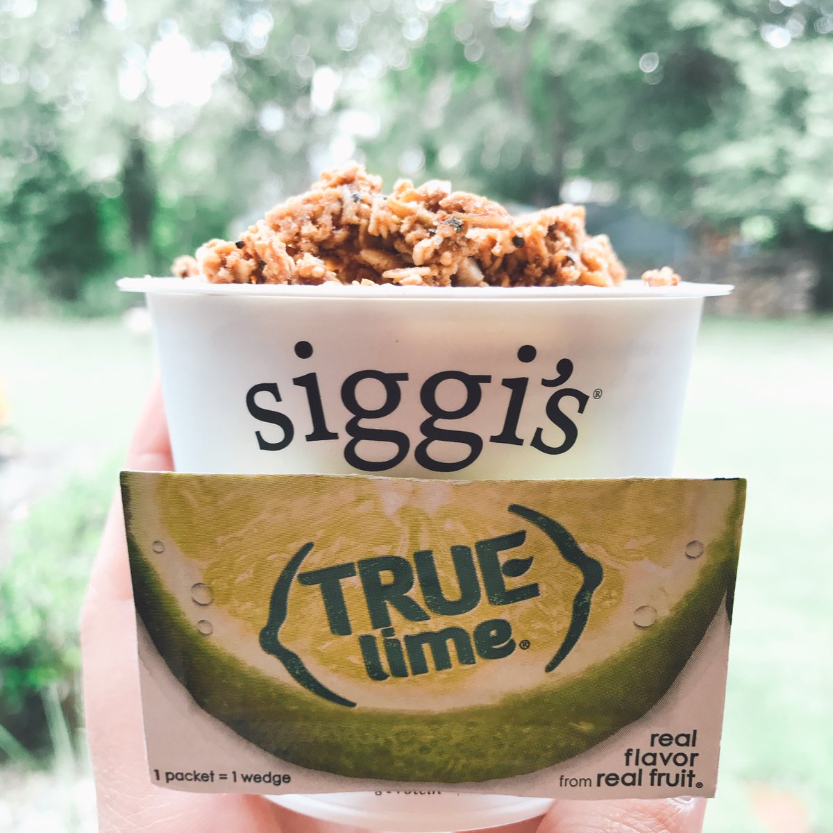 truelemon's tweet photo. Sprinkle #TrueLime over Greek vanilla yogurt and top with granola for a healthy and indulgent key lime breakfast #truetip #breakfastgoals https://t.co/bKPJNKhMY5