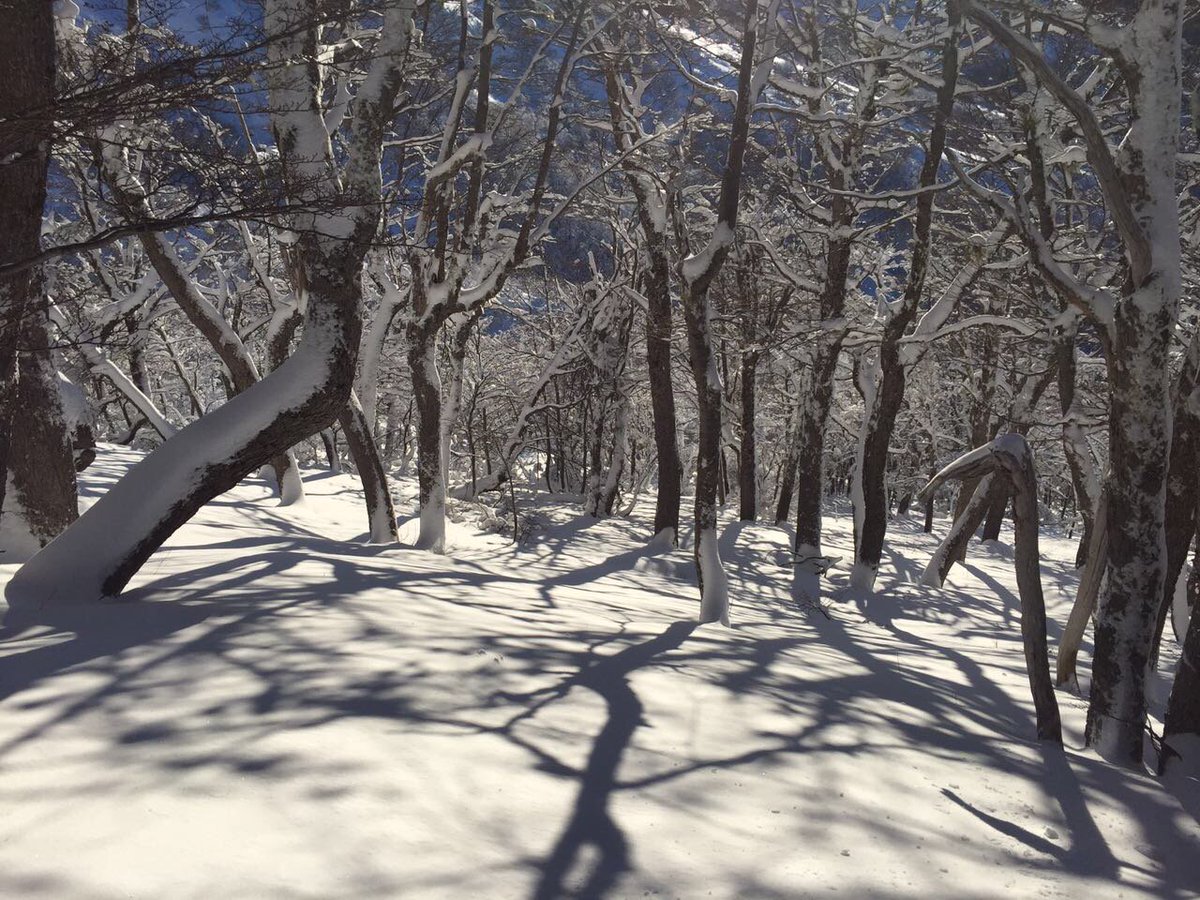 TillkaVLA's tweet photo. #Tillka #CerroBayo #LugaresImperdibles #VillaLaAngostura #PatagoniaArgentina https://t.co/sHbtWTS2pP