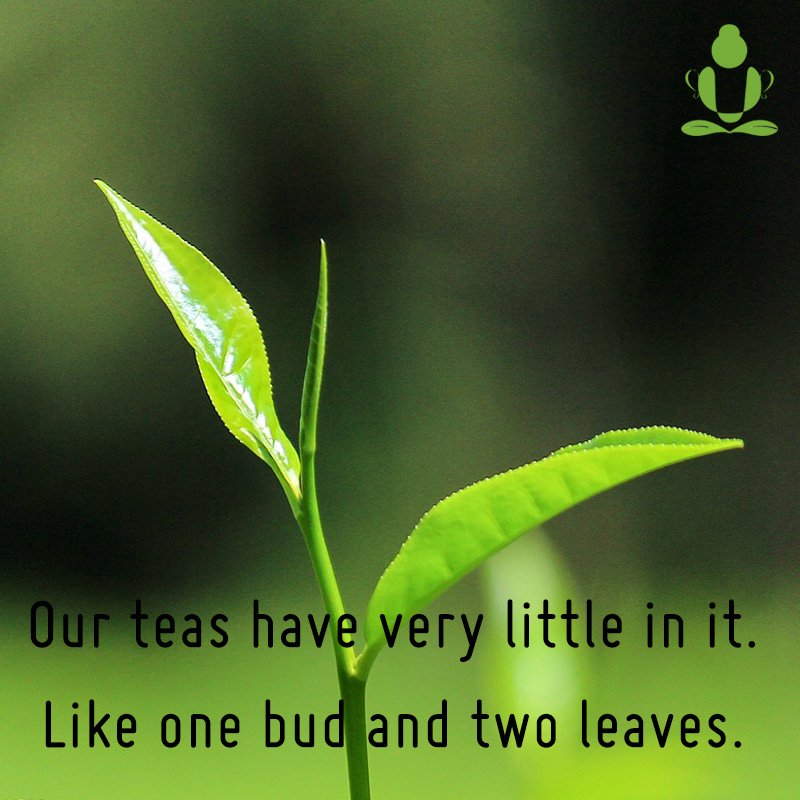 teamonkglobal's tweet photo. We give you the truth, and nothing but the truth.
That is two leaves and a bud. And nothing else.
#100PercentNaturalTeas #PureTeas https://t.co/9qKNLWbybE