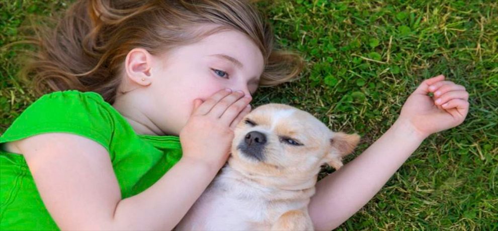 UNoticias's tweet photo. En 10 años los perros podrán hablar con los humanos https://t.co/Tr4U3XJqxj  https://t.co/lCBjbhv7tF