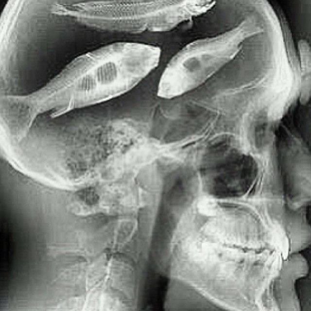 #ThursdayThoughts #waitingfortheweekend #fishing #Fishouflage