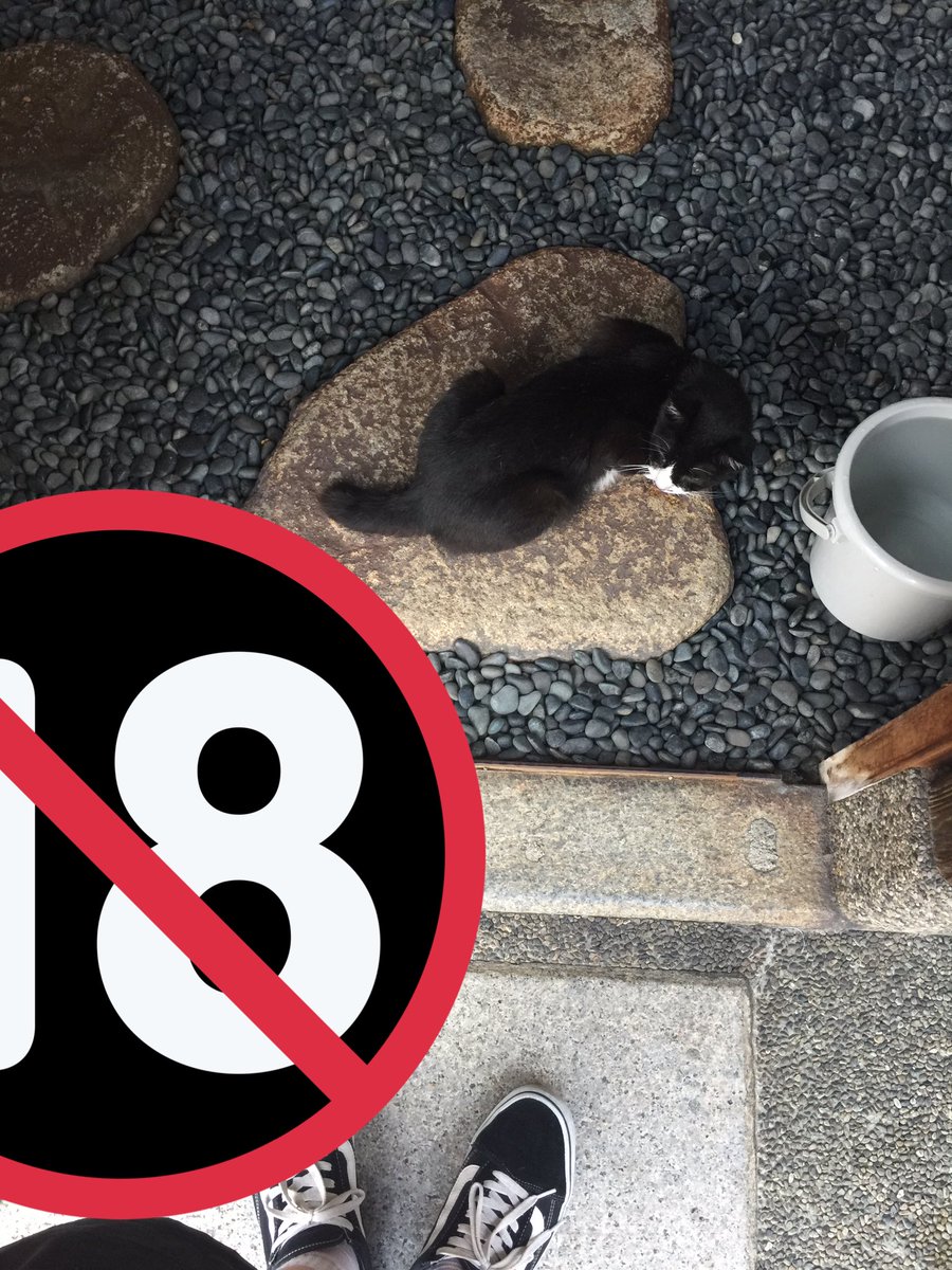 over___tkt's tweet photo. この猫可愛かったー撫でてやんないからか素っ気なかったけど、つかこの黒の短パン海パン笑笑 https://t.co/ShORAbOgBk