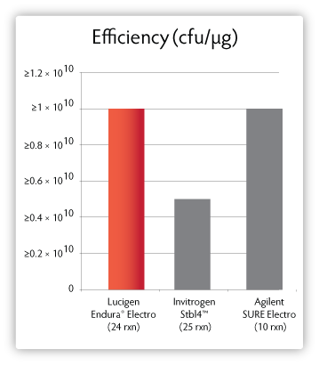 LucigenCorp's tweet photo. Working with CRISPR gRNA libraries? Try Endura #compcells, recommended for stability &amp; high diversity gRNA libraries https://t.co/JL4xmJnFua https://t.co/P8ve91cL1N