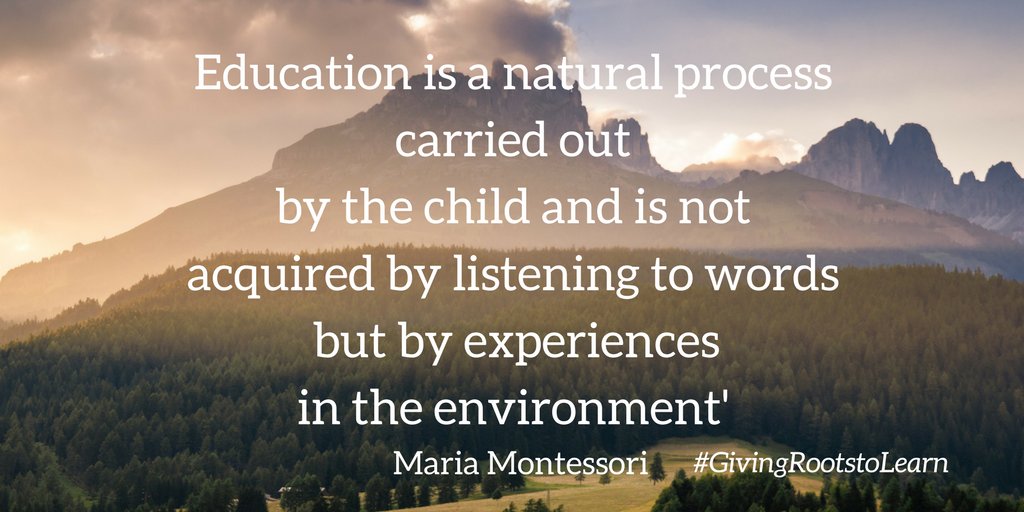 NaturalChildDev's tweet image. Education happens everywhere, at home, at school, at #play. #GivingRootstoLearn #earlychildhoodeducation #childledlearning