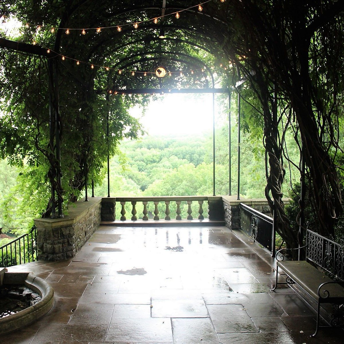 try to be stressed looking at this, we dare you.