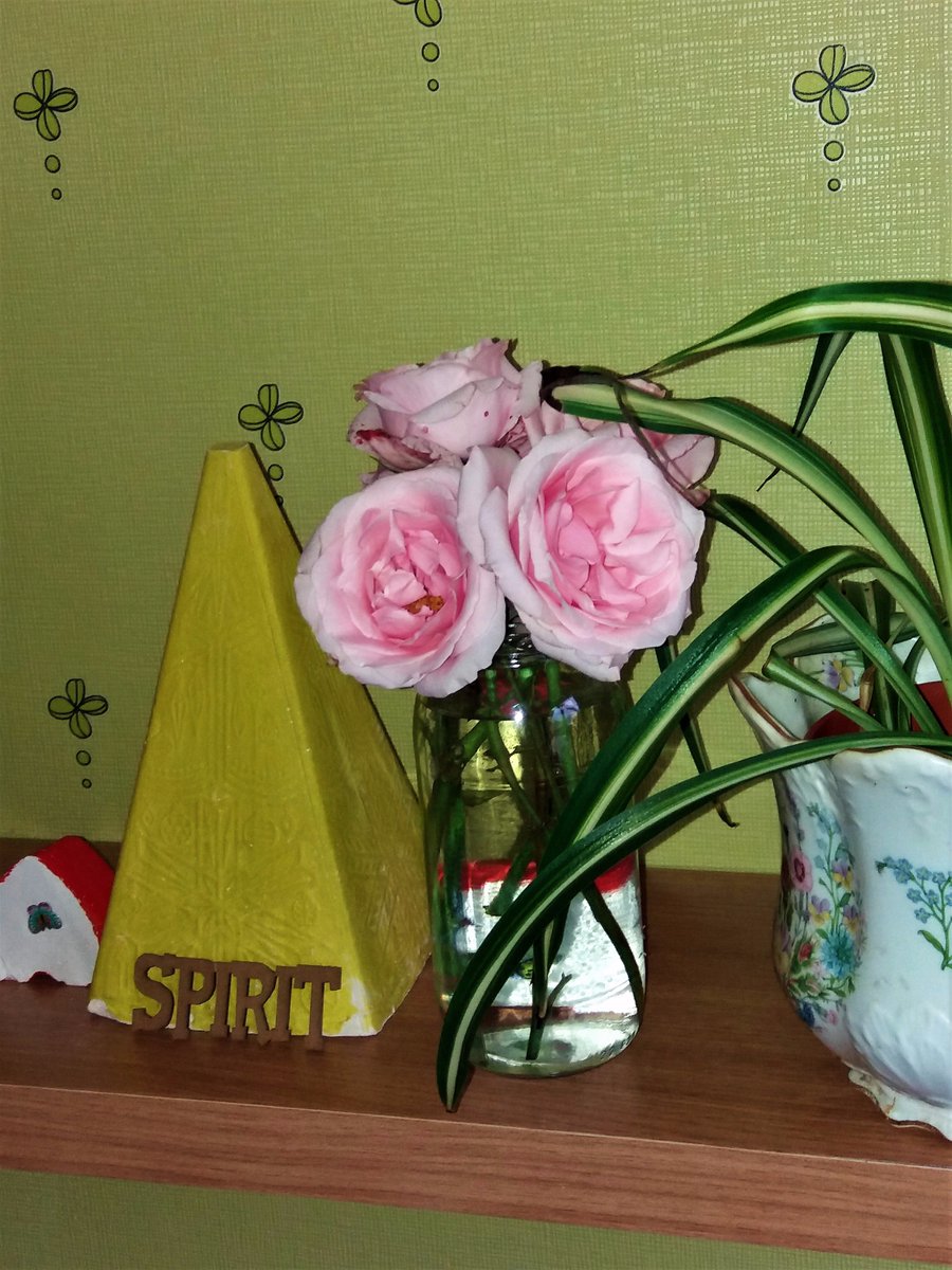 ainemacaodha's tweet photo. Thanks rain and shine for the abundances of #roses this year #selenite #plasterite helps ~ #ARoomofOne'sOwn #VirginiaWoolf Woolf https://t.co/ln4N1tRFrX