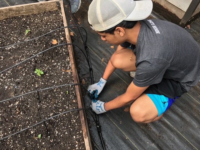 HighLineTeens's tweet photo. Green Council returned to P.S. 33 to lay down tarp, compost and finish the irrigation for their radiant garden. #HighLineTeens #Gardening https://t.co/kWRn2OekBn
