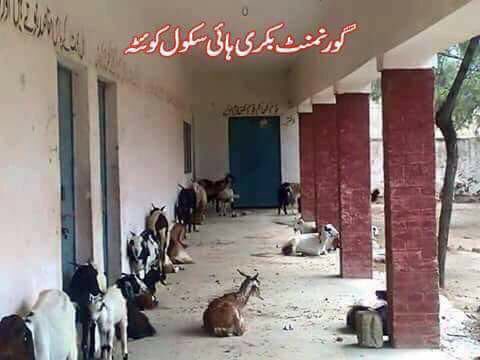 LetsEducateSBA's tweet photo. بکری اسکول کوئٹہ کے بعد سندھ میں آغا سراج درانی کے حلقہِ انتخاب میں موجود ہے گدھہ اسکول۔
#گاؤں_مرزاپور
#TaleemiEmergency
#ChangeTheSystem https://t.co/vQfP9ukH7Q