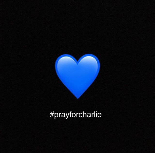 Amanda Lang tweet media