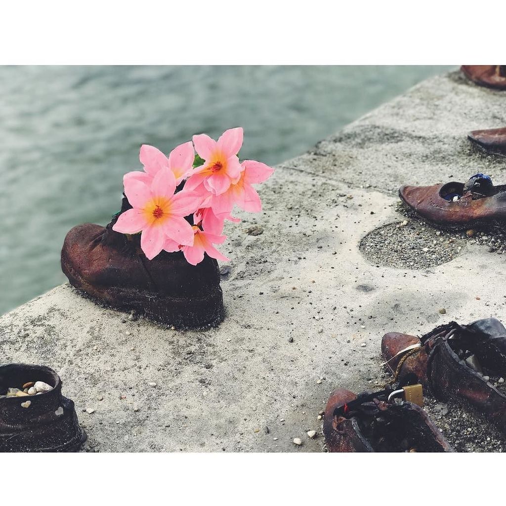 ratchpatch's tweet photo. Shoes on the Danube. #hellobudapest #danube #vsco #vscocam #budapest #vscobudapest #visitbudapest #danubebank https://t.co/NpfxGS1Aro