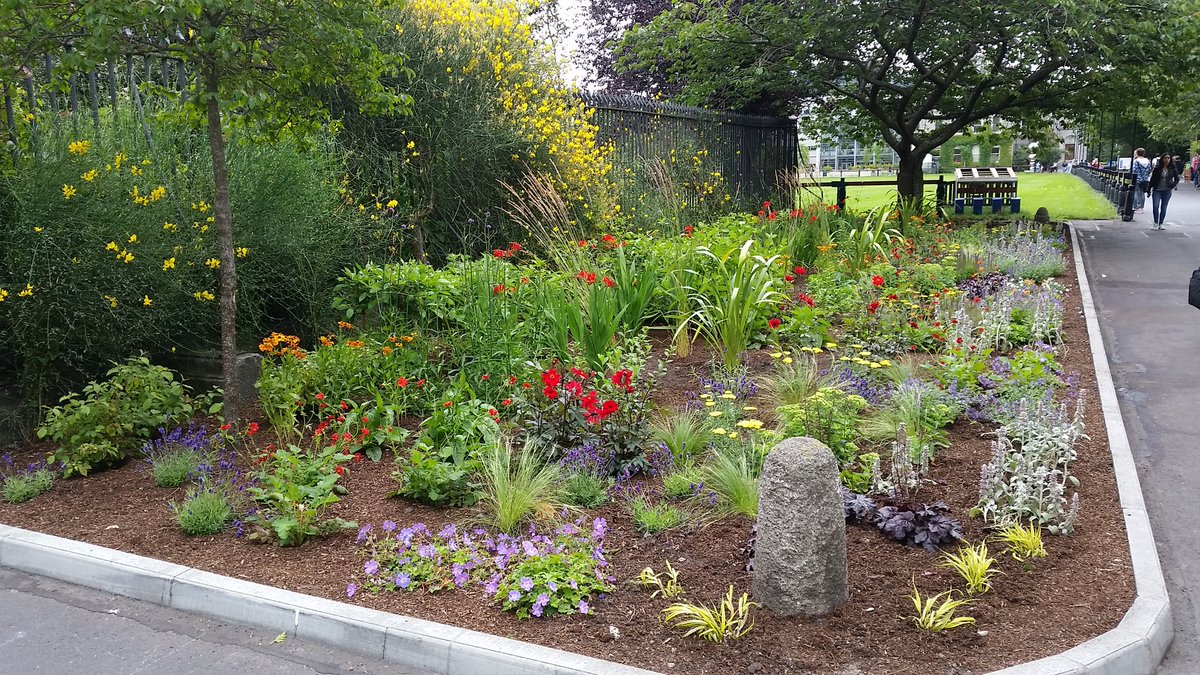 TrinityGardener's tweet photo. https://t.co/p4zNS2gArG