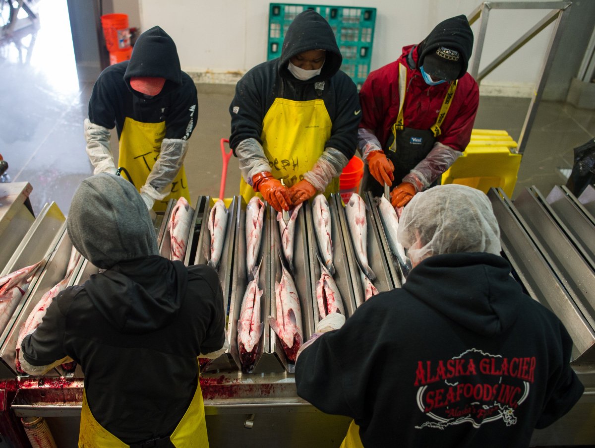 JuneauEmpire's tweet photo. “We’re bursting at the seams here right now": Output exceeding expectations for Alaska Glacier Seafoods. #AlaskaStartupWeek https://t.co/N5fLxDc560