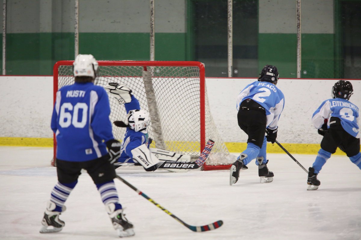 CapCityVipers's tweet photo. Calling all Viper Mites and Rec Players.  Clinic and Registration on August 24+25. For more info go to https://t.co/iV4Jmk38fo https://t.co/x3fovB7wGI